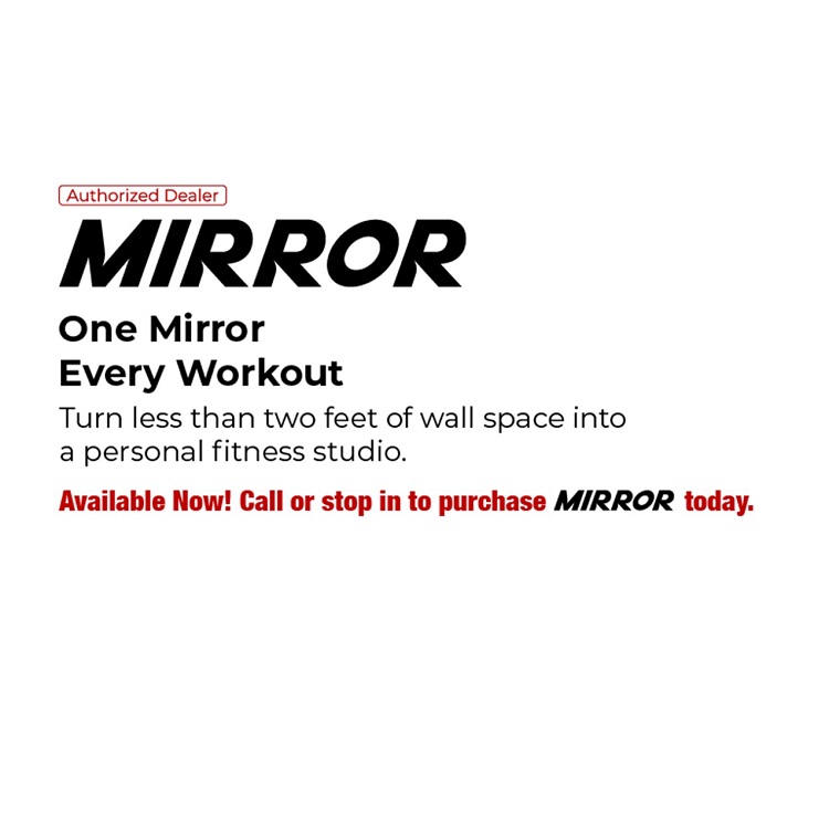 One Mirror Every Work Out - Dealer