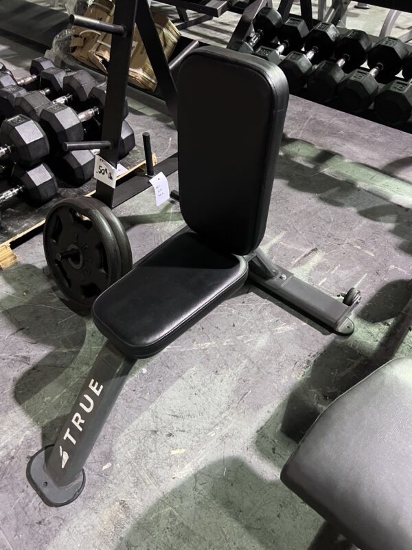 TRUE Fitness XFW-4400 Triceps Seat/Utility Bench