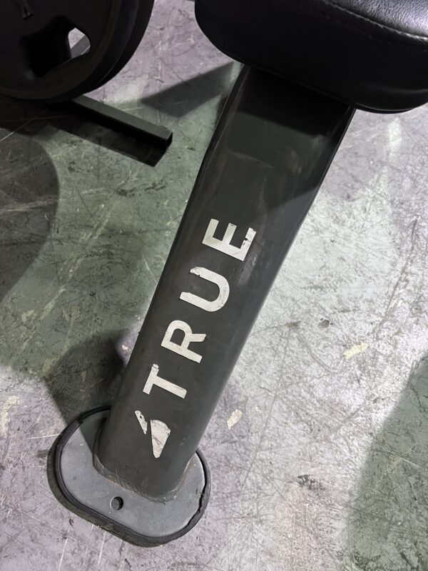 TRUE Fitness XFW-4400 Triceps Seat/Utility Bench