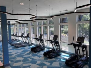 Multi-housing, Multi-family Apartment Home Fitness Center Design and Installation Treadmill, Cardio Equipment and Strength with Custom Color, Treadmill, Elliptical, Dumbbells, and Dumbbell Rack. TRUE Fitness exceptional commercial fitness equipment. Unique Fitness Pieces, ready for what's new in fitness, custom functional training rigs with storage and virtual fitness for on demand classes. Athletic Flooring Installation. Functional Storage Rigs FSR 2.0 Customizable Storage Solutions give your amenity a functional and cost effective twist with our Customized Functional Storage Racks. Each rack can be customized to space and size. Configurations hold dumbbells, medicine balls, kettlebells, exercise balls, suspension training bands, and many other unique pieces that give your residents a great workout and your fitness facility a unique upgrade. Storage solutions are required to be mounted to the wall.