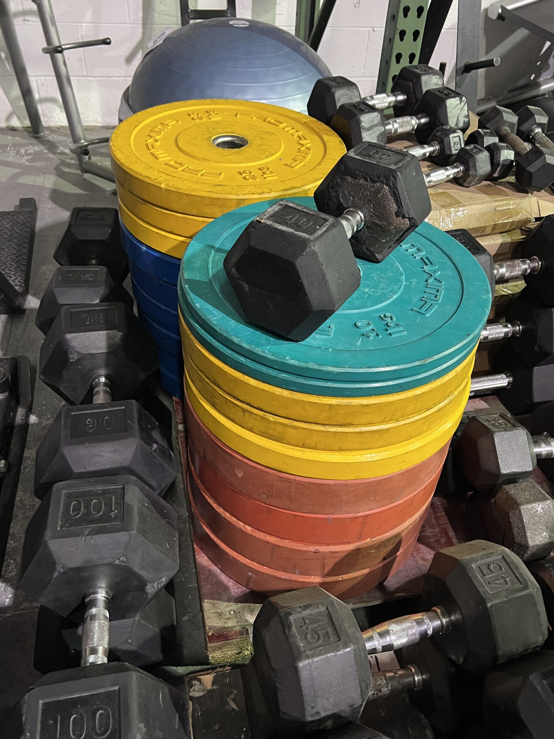 TMX Pro Maxima Colored Olympic Bumper Plates for sale Innovative fitness in Kennesaw, GA 770.218.9390