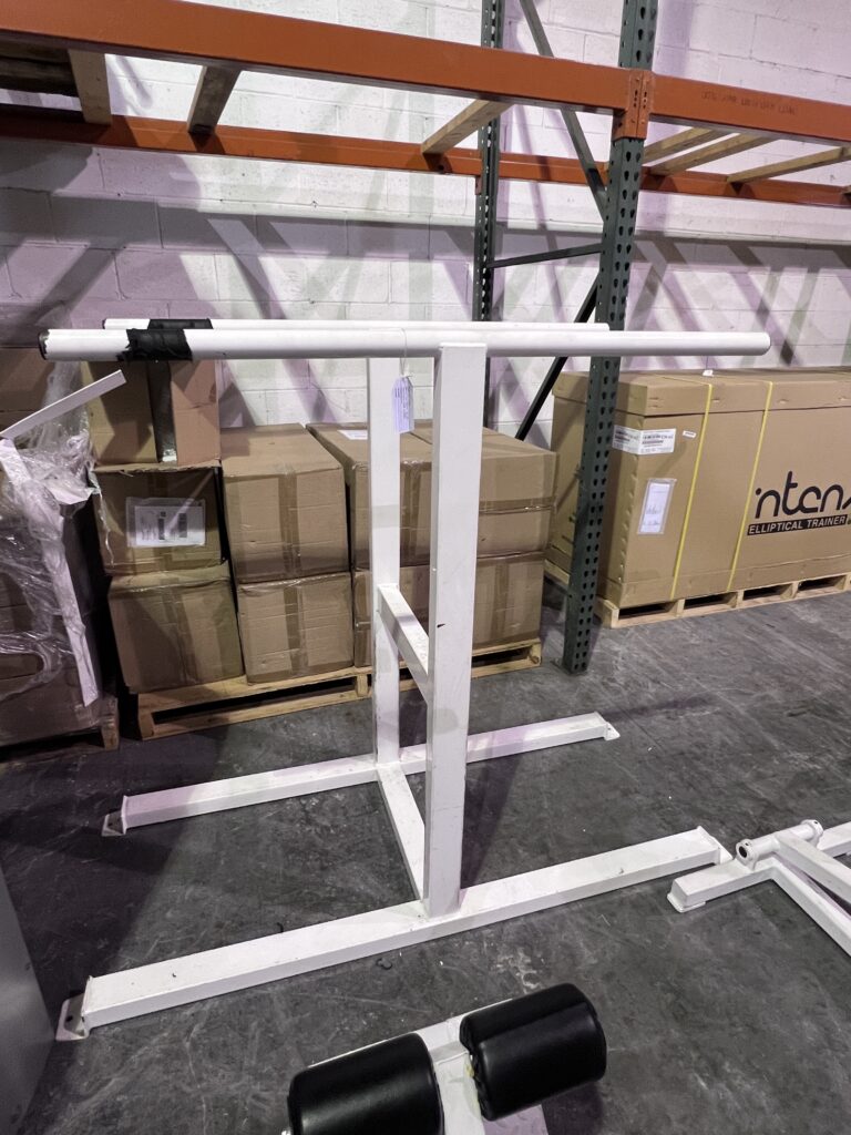 Double D.U.P. (Dual User Platform) Fitness Station--Pro Maxima Dip Station (Dual)