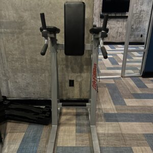 Life Fitness Dip/Leg Raise Vertical Knee Raise station with padded arm supports, back pad, and dip handles for core and upper-body strength training.